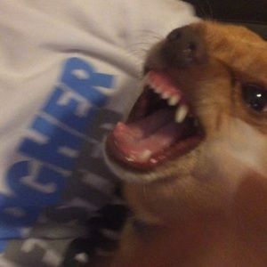 Meet your Posher, Darryl